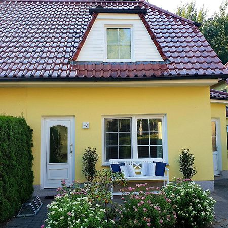 Am Deich 43 Villa ซิงสท์ ภายนอก รูปภาพ